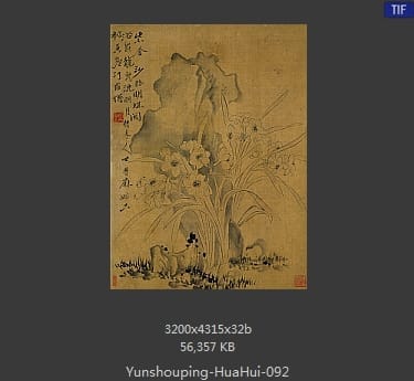 恽寿平-花卉