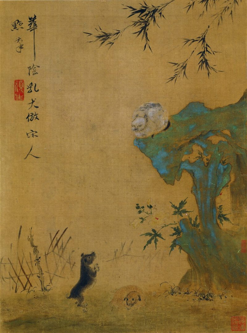 花卉