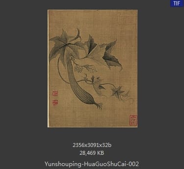 恽寿平-花果蔬菜