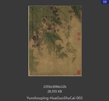 恽寿平-花果蔬菜