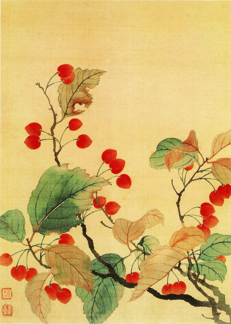 秋海棠图