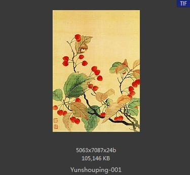 恽寿平-秋海棠图