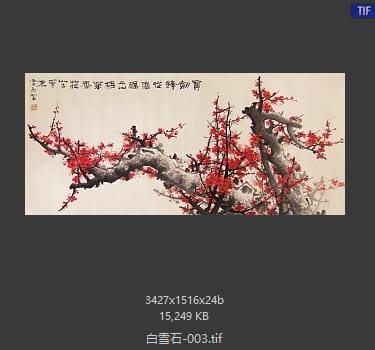 白雪石 #003
