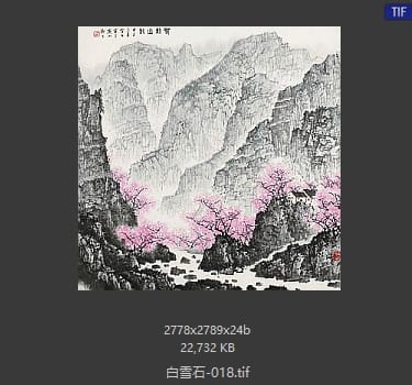 白雪石 #018