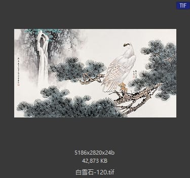 白雪石 #120