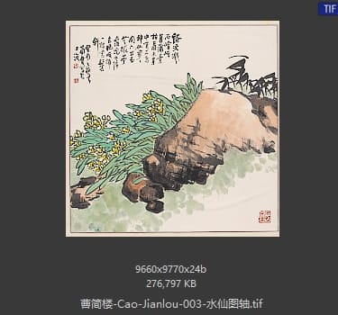 曹简楼 水仙图