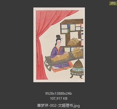 曹梦芹 文姬理书