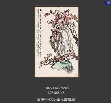 曹用平 杏花图