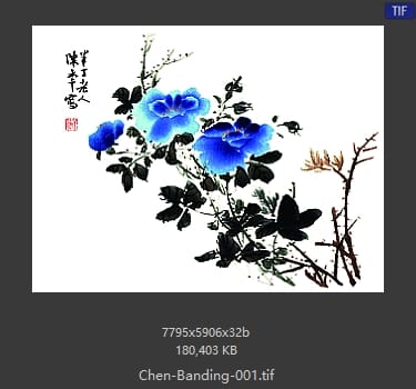 陈半丁 月季
