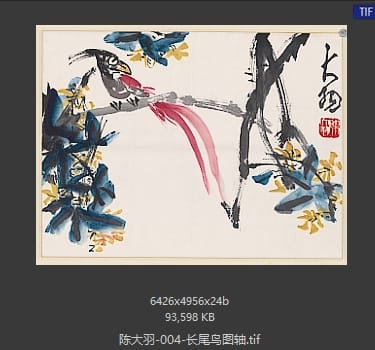 陈大羽 长尾鸟图