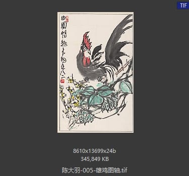 陈大羽 雄鸡图