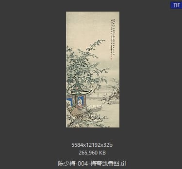 陈少梅 梅萼飘香
