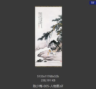 陈少梅 人物