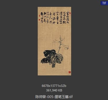 陈师曾 墨笔玉簪