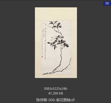 陈师曾 梨花图