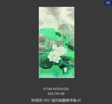 陈湘波 清风晓露碧荷香