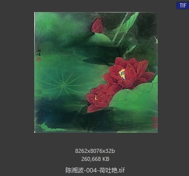 陈湘波 荷吐艳