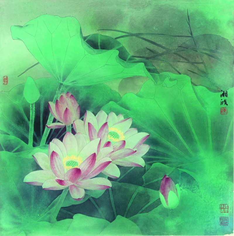 陈湘波 荷塘惊艳
