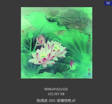 陈湘波 荷塘惊艳