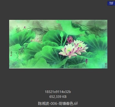 陈湘波 荷塘春色