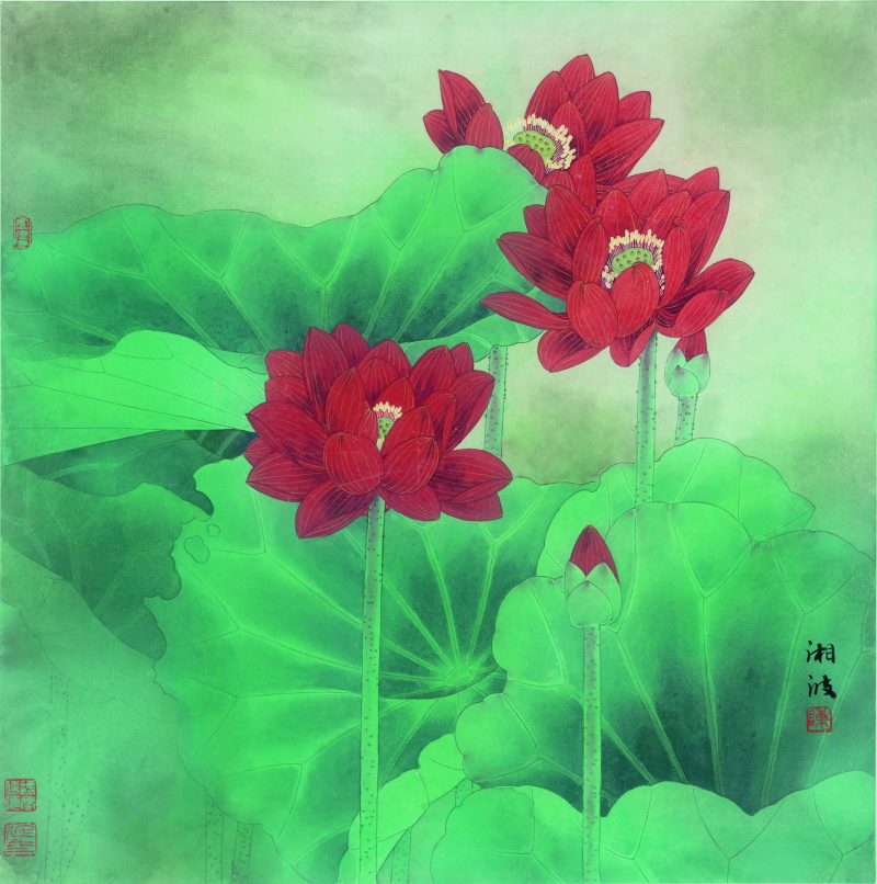 陈湘波 荷映月
