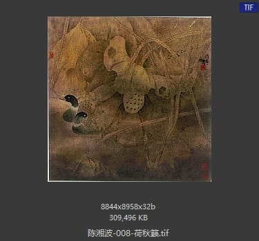 陈湘波 荷秋籁