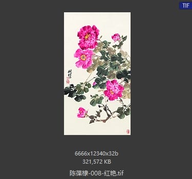 陈葆棣 红艳