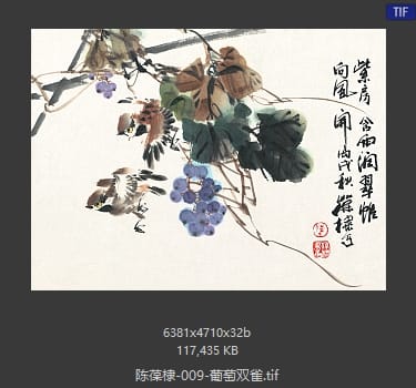 陈葆棣 葡萄双雀