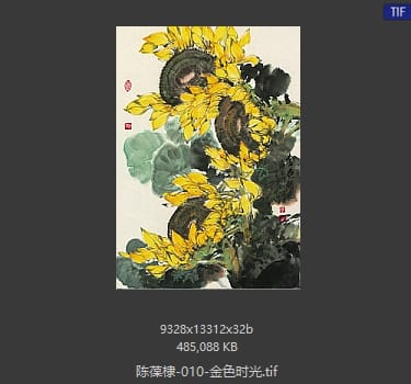陈葆棣 金色时光