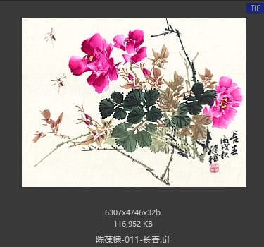 陈葆棣 长春