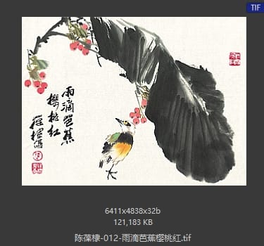 陈葆棣 雨滴芭蕉樱桃红