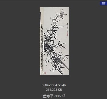 董寿平 墨竹