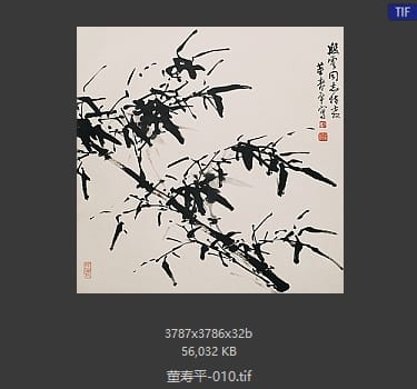 董寿平 墨竹