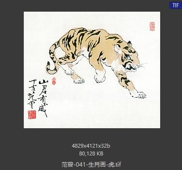 范曾 生肖画-虎