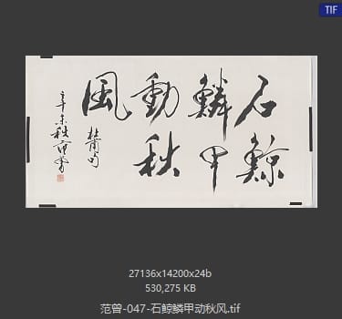 范曾 石鲸鳞甲动秋风