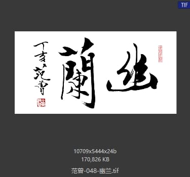 范曾 幽兰