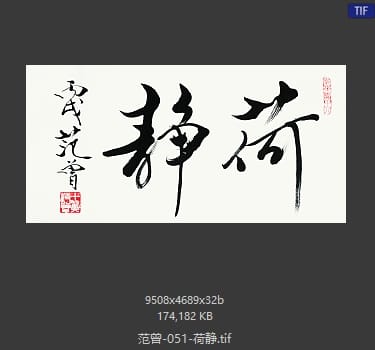 范曾 荷静
