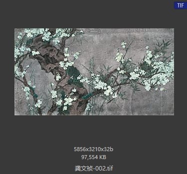 龚文祯 #002