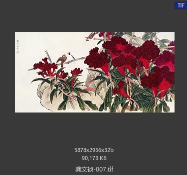 龚文祯 #007