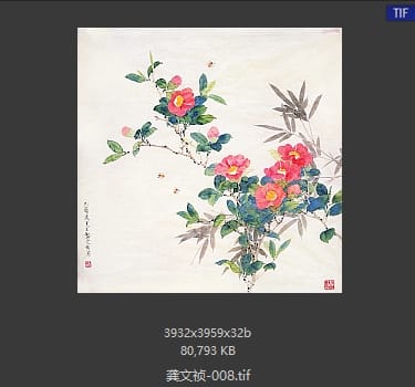 龚文祯 #008