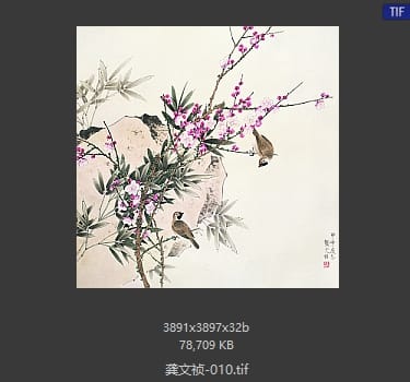 龚文祯 #010