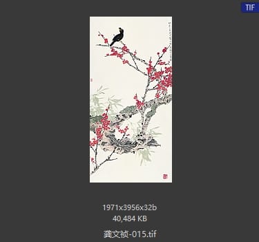 龚文祯 #015