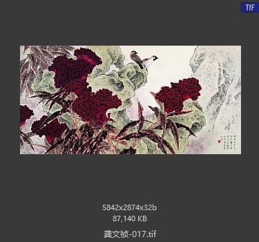 龚文祯 #017