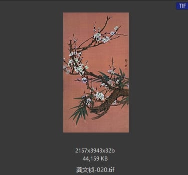 龚文祯 #020