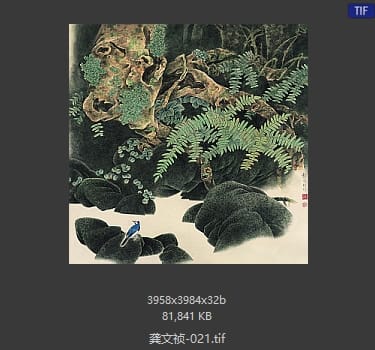 龚文祯 #021