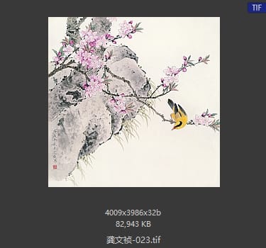龚文祯 #023