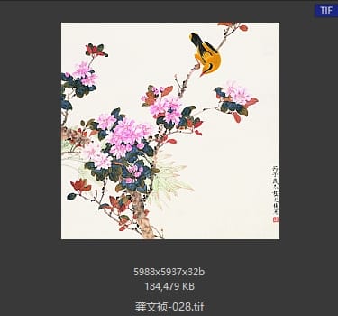 龚文祯 #028