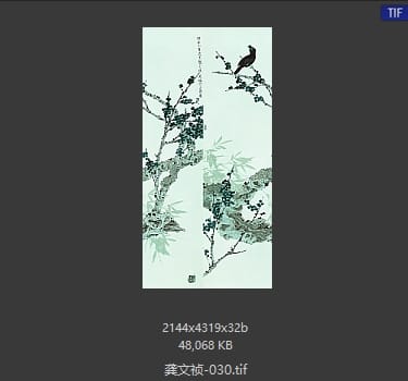 龚文祯 #030