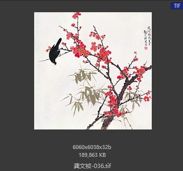 龚文祯 #036