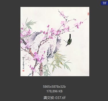 龚文祯 #037